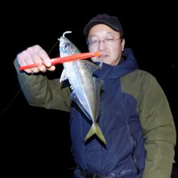 フィッシングボート空風(そらかぜ) 釣果