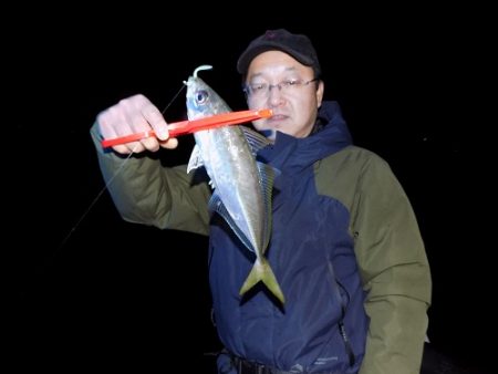 フィッシングボート空風(そらかぜ) 釣果