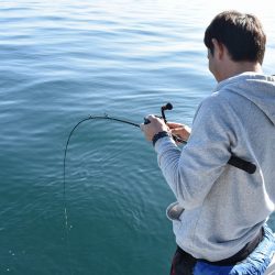 Fisherman Dreams DI 釣果