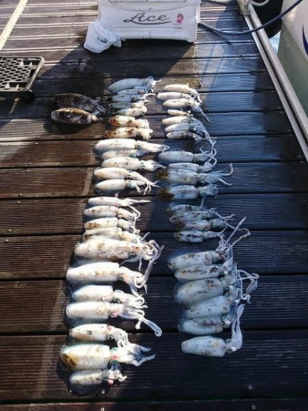 フィッシングボートACE（エース） 釣果