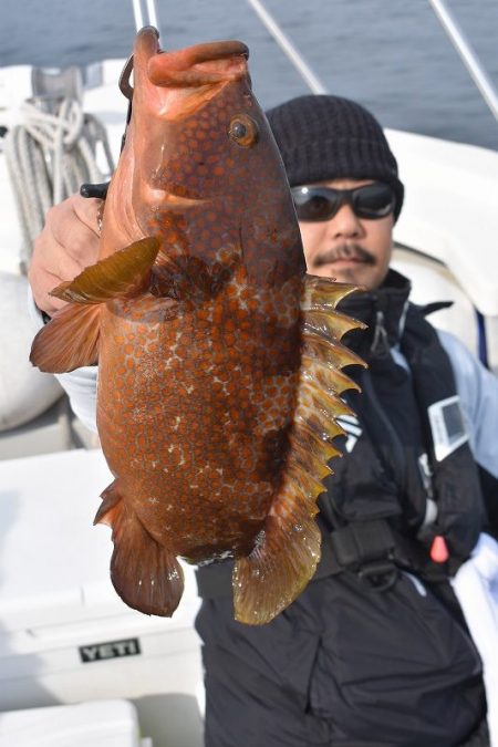 Fisherman Dreams DI 釣果