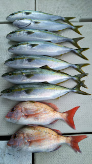 釣り舟　海竜 釣果