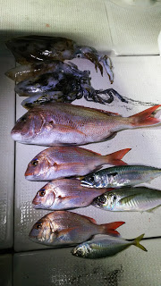 釣り舟　海竜 釣果