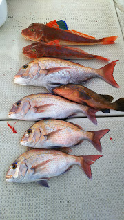 釣り舟　海竜 釣果