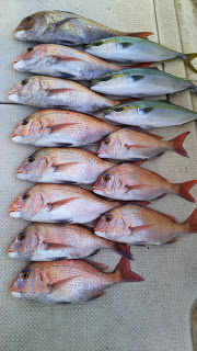 釣り舟　海竜 釣果