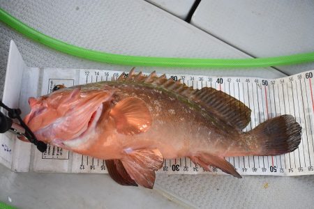 Fisherman Dreams DI 釣果