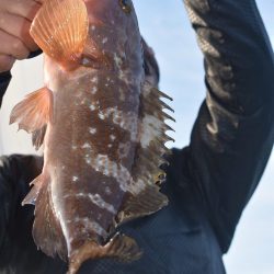 Fisherman Dreams DI 釣果