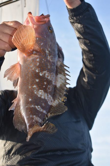 Fisherman Dreams DI 釣果