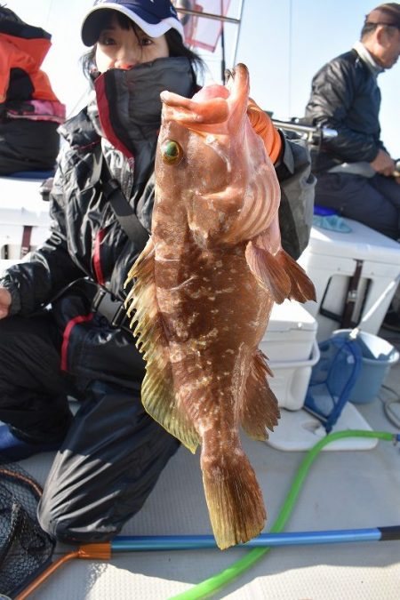 Fisherman Dreams DI 釣果