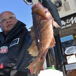 Fisherman Dreams DI 釣果