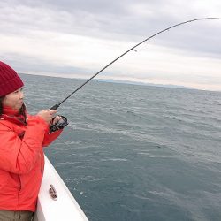 フィッシングボートACE(エース) 釣果