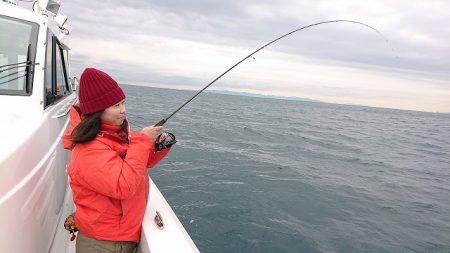 フィッシングボートACE(エース) 釣果