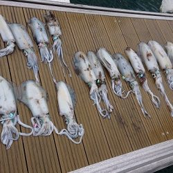 フィッシングボートACE(エース) 釣果