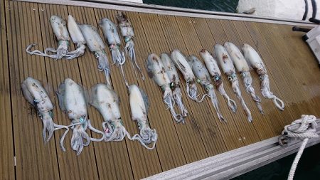 フィッシングボートACE（エース） 釣果