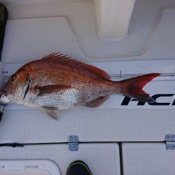 フィッシングボートACE(エース) 釣果