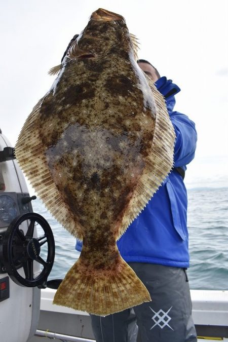 Fisherman Dreams DI 釣果