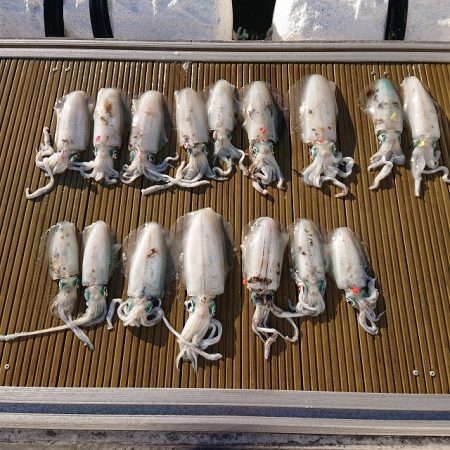 フィッシングボートACE(エース) 釣果