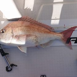 フィッシングボートACE(エース) 釣果