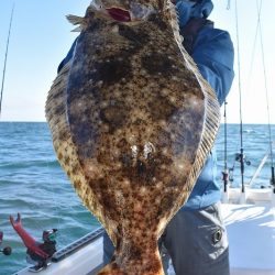 Fisherman Dreams DI 釣果