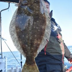 Fisherman Dreams DI 釣果