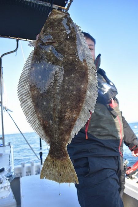 Fisherman Dreams DI 釣果