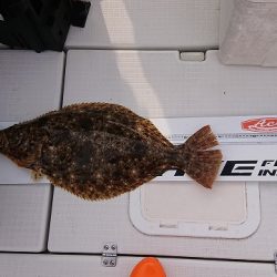 フィッシングボートACE(エース) 釣果