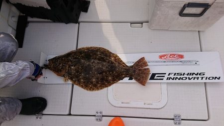 フィッシングボートACE(エース) 釣果