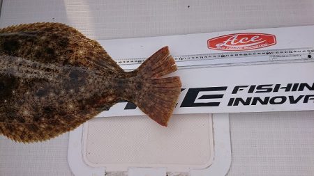 フィッシングボートACE(エース) 釣果