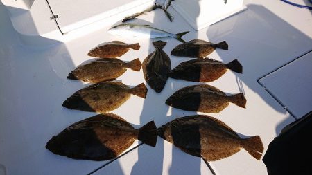 フィッシングボートACE(エース) 釣果