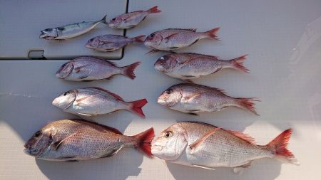 フィッシングボートACE(エース) 釣果