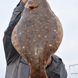 Fisherman Dreams DI 釣果