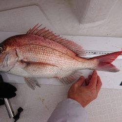 フィッシングボートACE(エース) 釣果