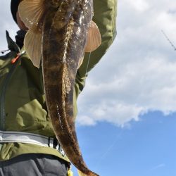 Fisherman Dreams DI 釣果