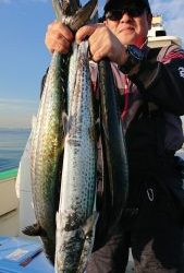 KONAYAーMARU(こなや丸) 釣果