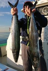 KONAYAーMARU(こなや丸) 釣果