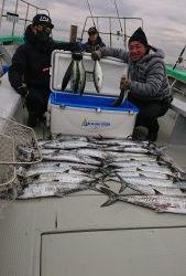 KONAYAーMARU(こなや丸) 釣果