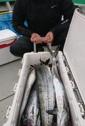 KONAYAーMARU(こなや丸) 釣果