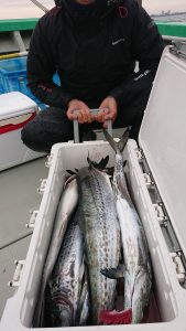 KONAYAーMARU(こなや丸) 釣果