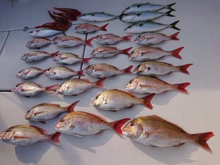 フィッシングボートACE(エース) 釣果