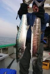 KONAYAーMARU(こなや丸) 釣果