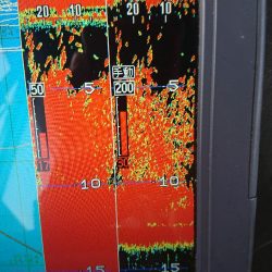 深川　吉野屋 釣果