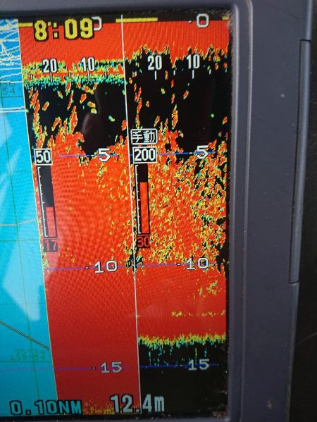 深川　吉野屋 釣果