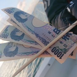 フィッシングボートACE（エース） 釣果