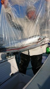 KONAYAーMARU(こなや丸) 釣果