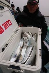 KONAYAーMARU(こなや丸) 釣果