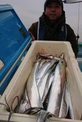 KONAYAーMARU(こなや丸) 釣果