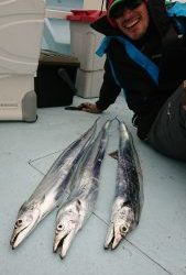 KONAYAーMARU(こなや丸) 釣果