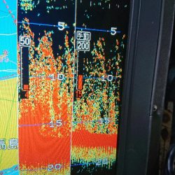 深川 吉野屋 釣果