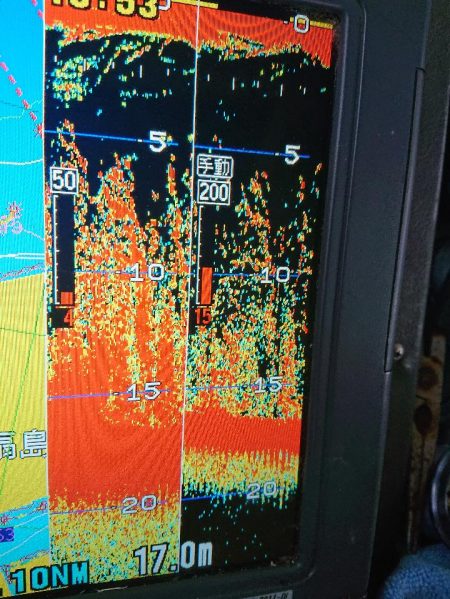 深川 吉野屋 釣果