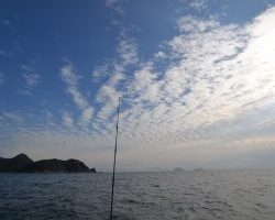 アジアマリンサービス 釣果